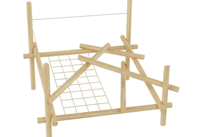 Leo trèo Climber Robinio 1